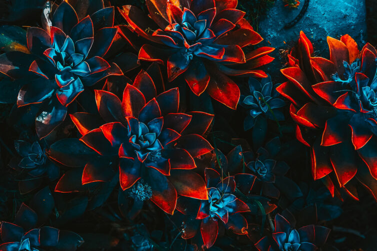 blocks-image-43.jpg (Demo)